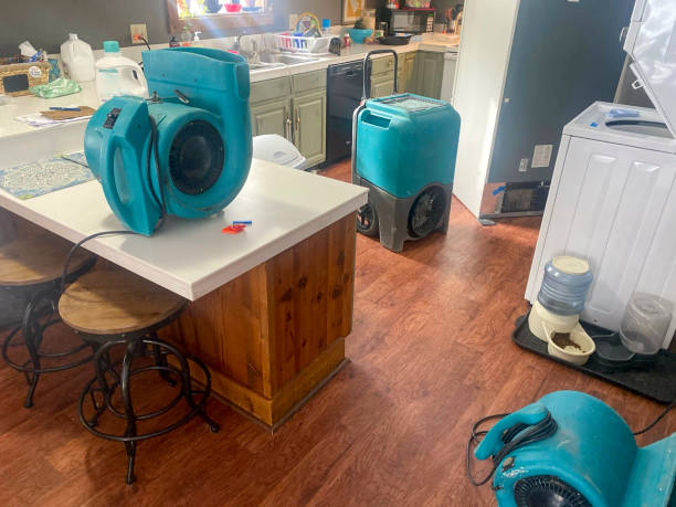 Best Ceiling water damage repair  in Mira Monte, CA