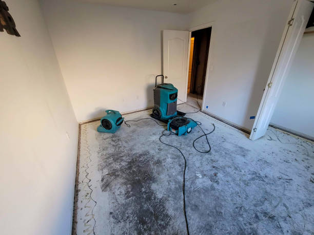 Best Flooded house restoration  in Mira Monte, CA