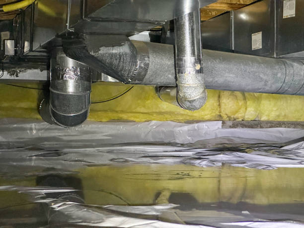 Best Water damage cleanup near me  in Mira Monte, CA