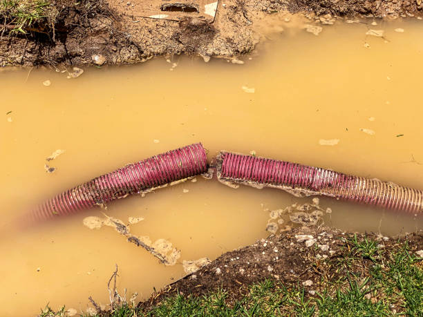 Best Water damage restoration insurance claims  in Mira Monte, CA